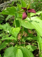 DSCN5877.JPG