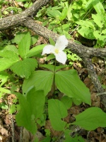 DSCN5878.JPG