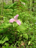 DSCN5882.JPG