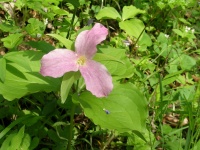 DSCN5883.JPG