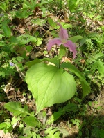 DSCN5889.JPG
