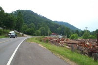 But clearcutting is OK.