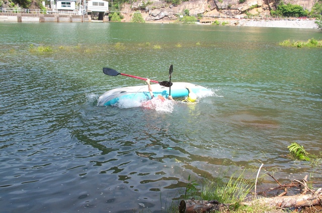 dcp_0460
