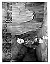 Volume 10, Number 2