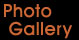 View Member's Photos + Upload Your Own